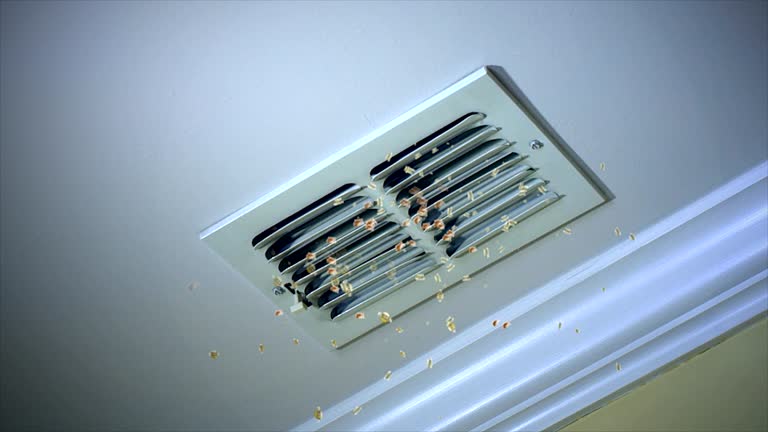 Best Professional Duct Cleaning Services  in Carlstadt, NJ